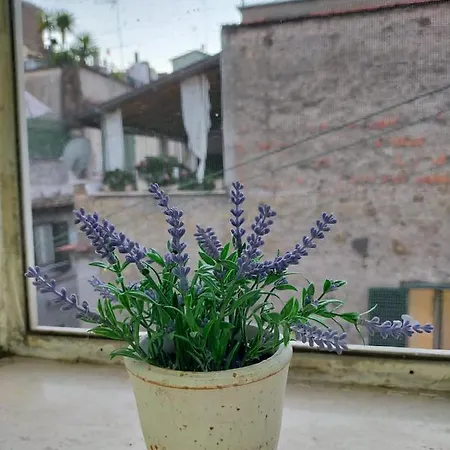 Daire La Tegola