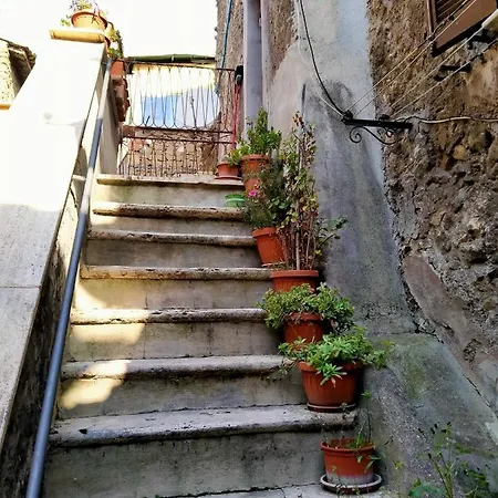 La Tegola Daire